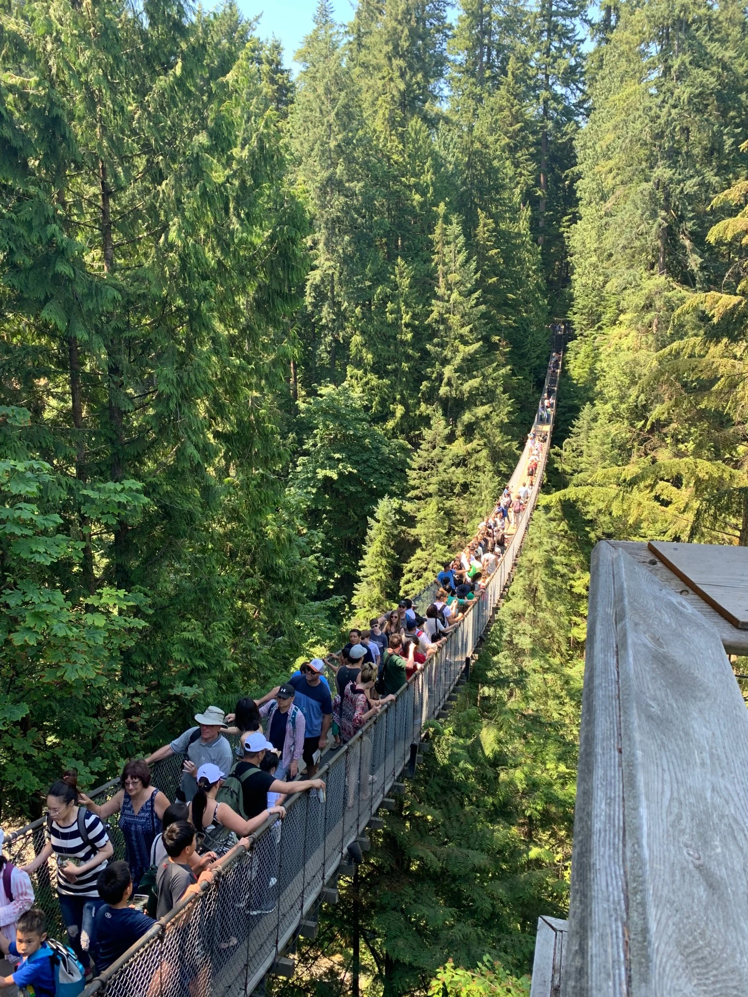 Terrifyingly high Capilano Suspension Bridge...