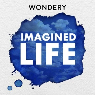 imagined life